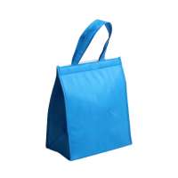 eco friendly and economical whole fashionable foods  ice cooler tote bag