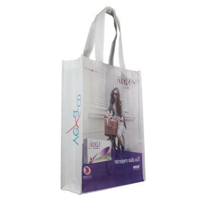 Sedex audit customized promo laminated bag